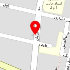 نوشت افزار فرهنگ مارلیک