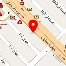 شیک پلاست