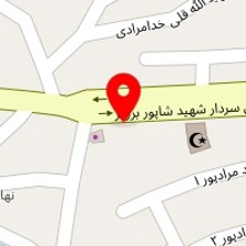 پلاسکو حسن نژاد