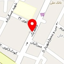 فروشگاه نیپون رنگ هادی