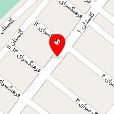 پلاسکو سید