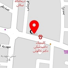 خانه لاک و مژه سارى