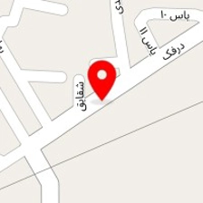 فروشگاه کاکتوس تینو
