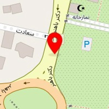 تدریس تکنیک های نقاشی خصوصی فقط بانوان