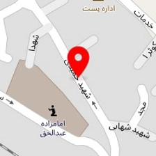 برگر ذغالی امیر