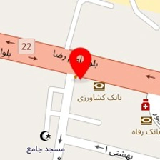 زیتون سرای همیشه سبز