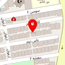 پیتزا دیدی