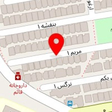 برگر کیچن