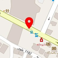 کباب ذغالی دایا
