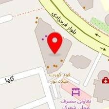 فست فود امیر