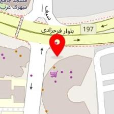فست فود جوجه سوخاری 55