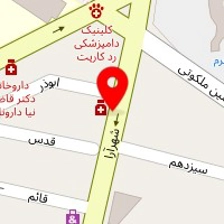 برگر لاین