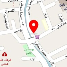 شاه مزه فینگر فود