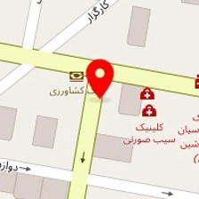 چلوکبابی ارکیده