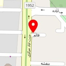 برگر ویژه تین
