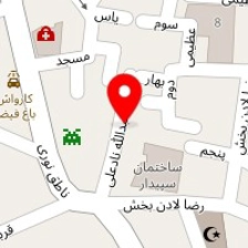 تهیه غذا زیتون