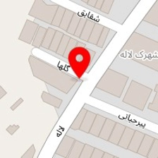 ست فود چی لیز
