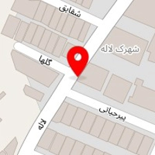تهیه غذای اصیل