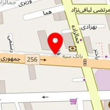 تهیه غذای دلما