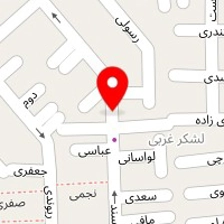 فست فود شاهرخ
