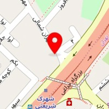 پیتزا امیر