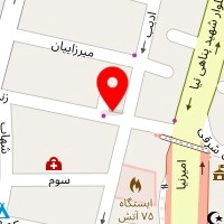 تهیه غذای رز بانو