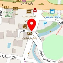 فست فود بی بی گل