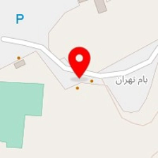 برگر زغالی