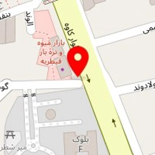 فست فود سلفی