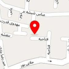 فست فود پیتزا میتزا