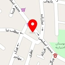فست فود نوین