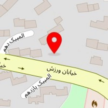 تهیه غذای داداشی