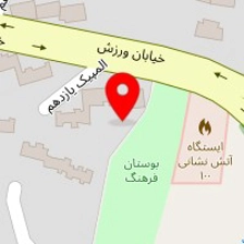 پیتزا دهکده