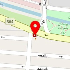 فست فود دو لپی