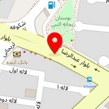 چیکن ذغالی حکیمیه