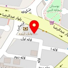 پیتزا امین