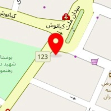 فست فود فان