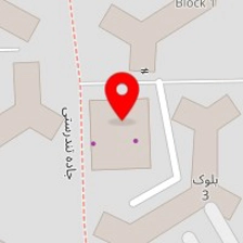 پیتزایی پیتزا خانگی لوشان