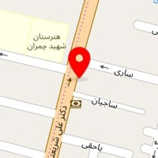 پیتزا مهدی