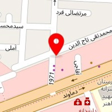 پیتزا برگر سروین