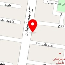 پیتزا متری سی ناز