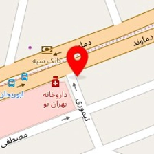 فست فود تن برگر