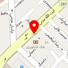 فست فود امیر