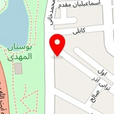 فست فود شالیزه