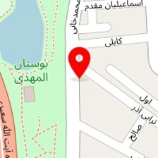 پیتزا ساندویچ شالیزه