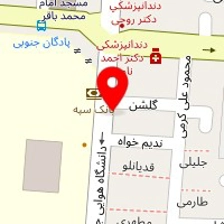 فست فود شاهین