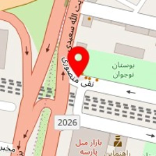 پیتزا رادیکال