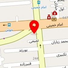 پیتزا ساندویچ میلاد