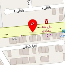 پیتزا شقایق