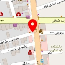 فست فود ایران برگر